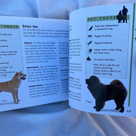 Dogs - Complete Pet Care Book - Picture 13 of 16